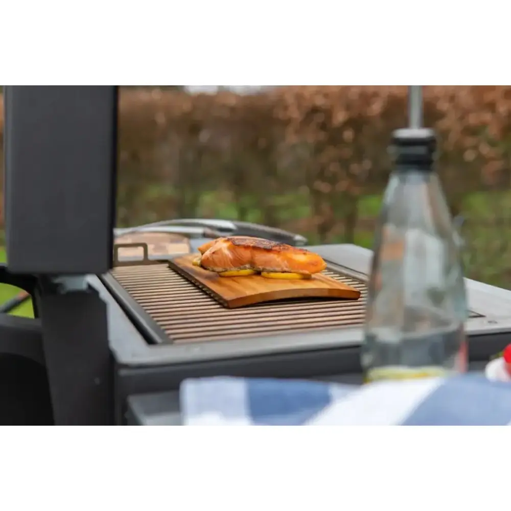 Піч-барбекю Hestia 300 Heat & Grill