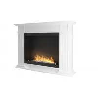 Біокамін INFIRE INPORTAL 1