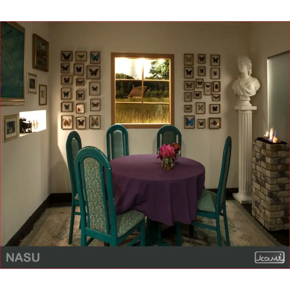 Биокамин KAMI NASU