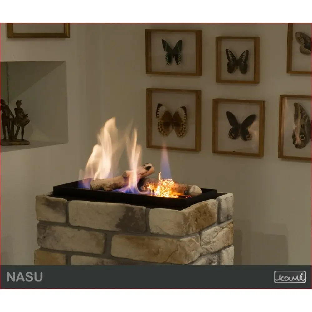 Биокамин KAMI NASU