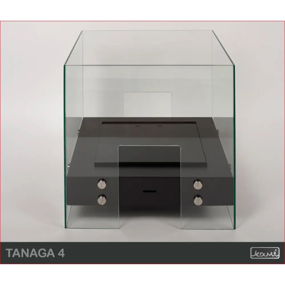 Биокамин KAMI TANAGA 4