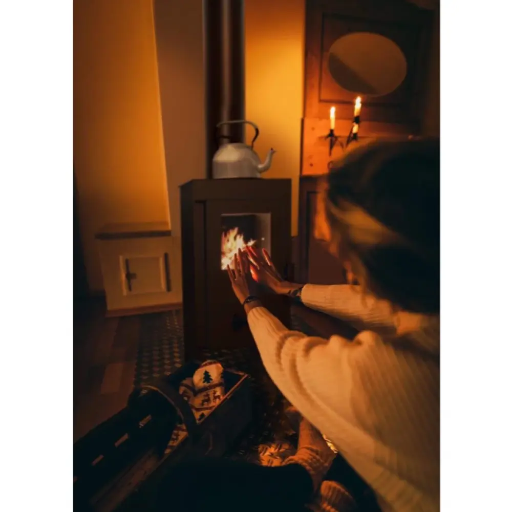 Стальная печь Hitze PRETORIAN